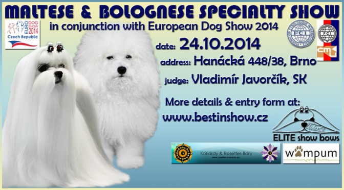 Maltese & Bolognese Specialty in conjunction with EDS 2014